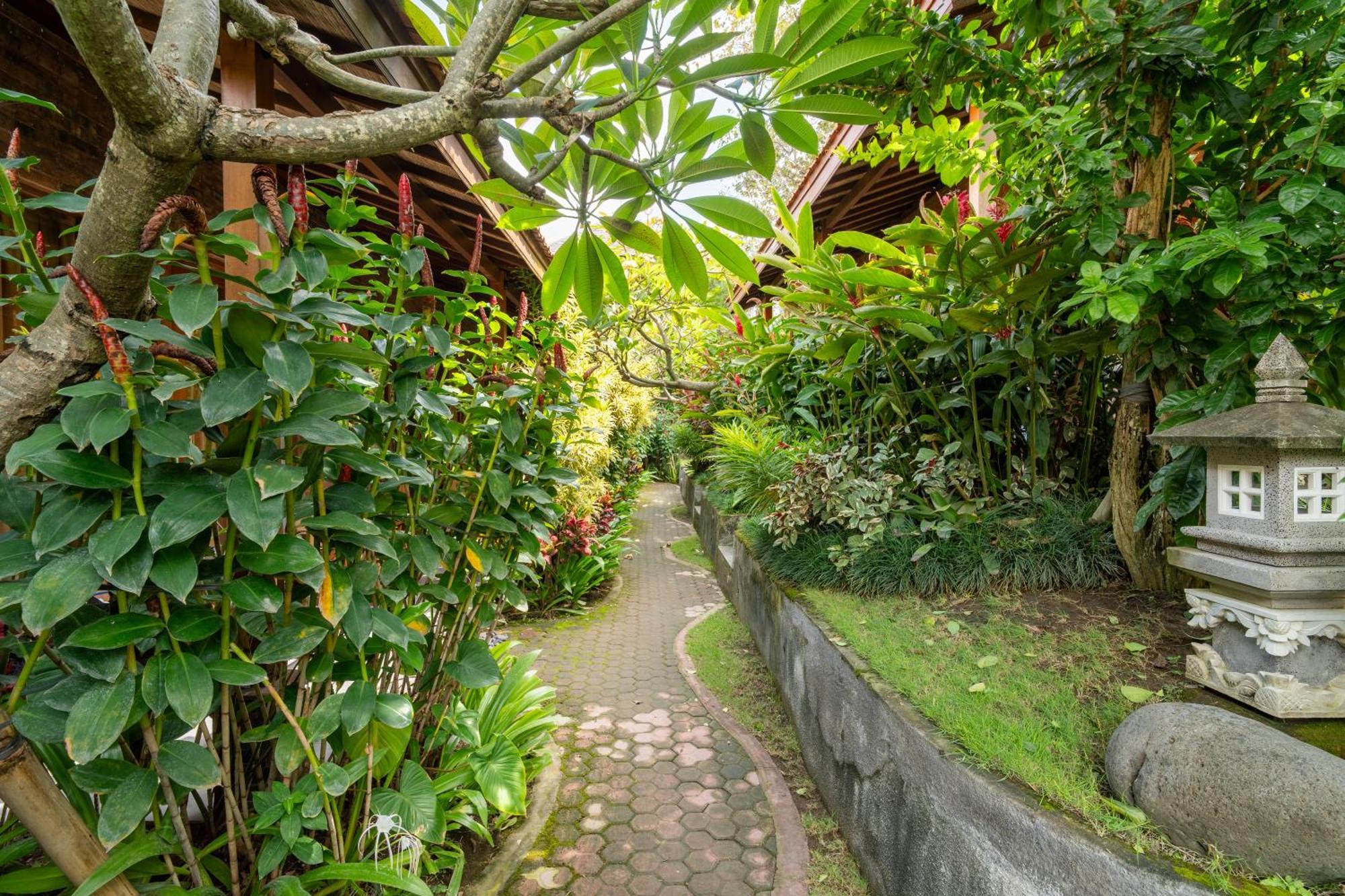 Jinar Guest House Canggu Εξωτερικό φωτογραφία